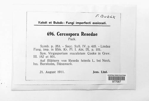 Cercospora resedae image